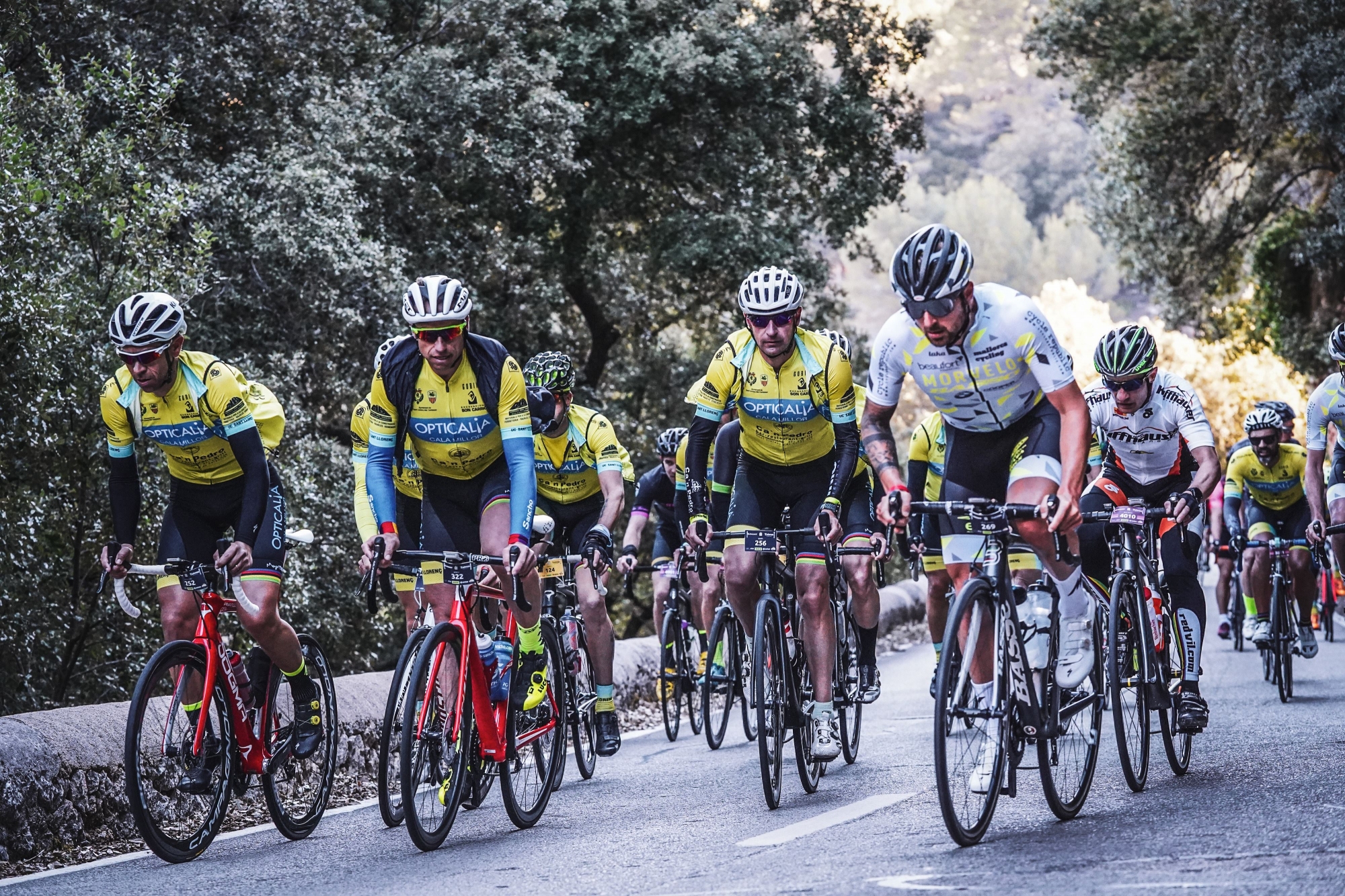 mallorca-312-sportive-weekend